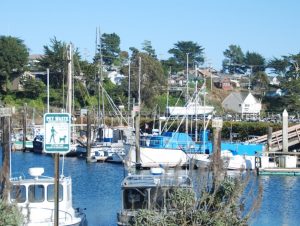 local town marina with smaller boats docked