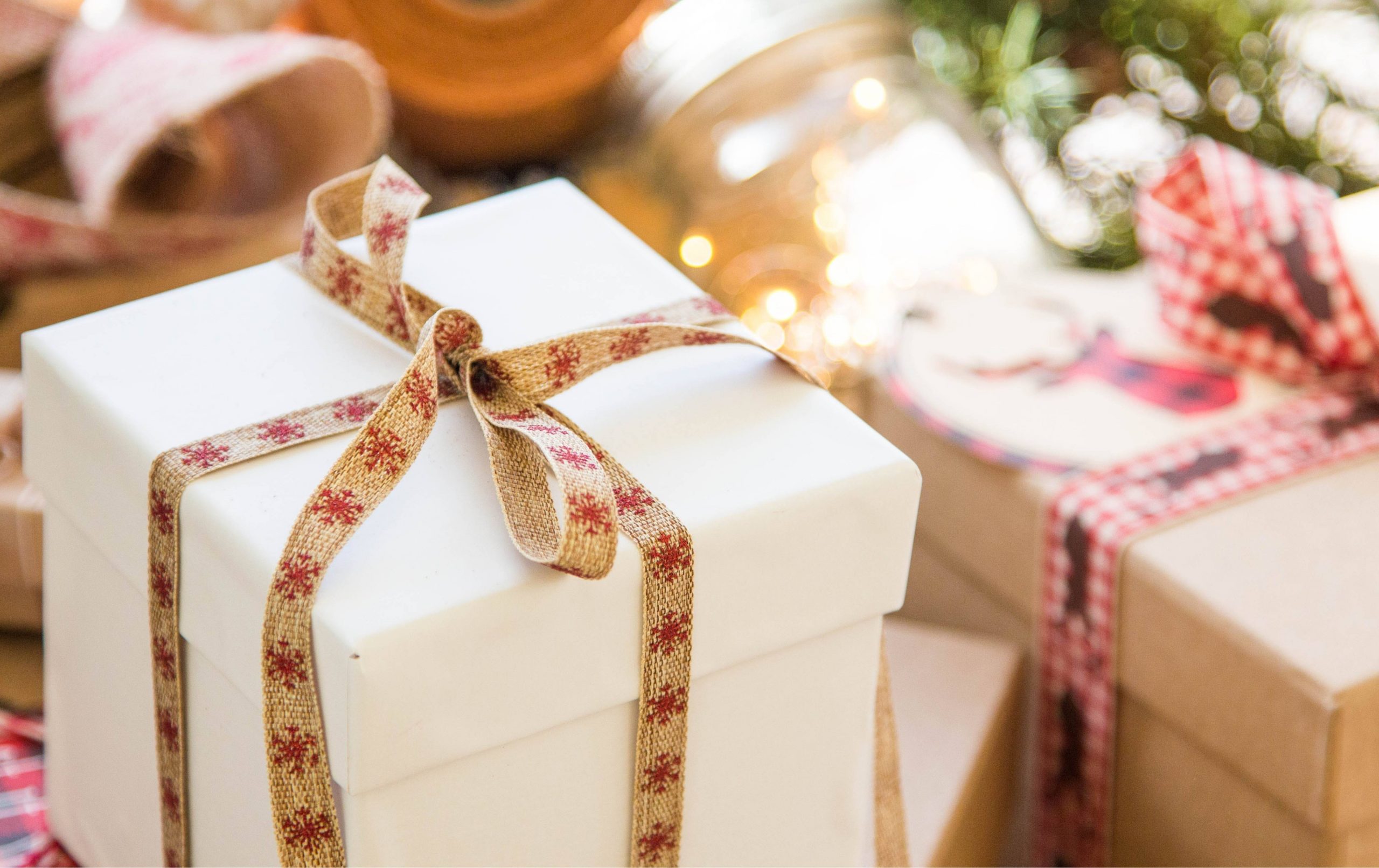 A wrapped present sits under a tree