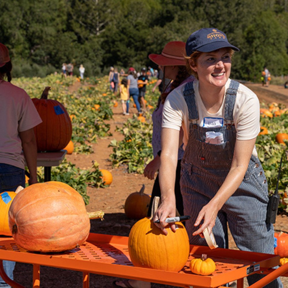 A women smiles while standing by two pumpkins. A pumpkin patch is behind her. 