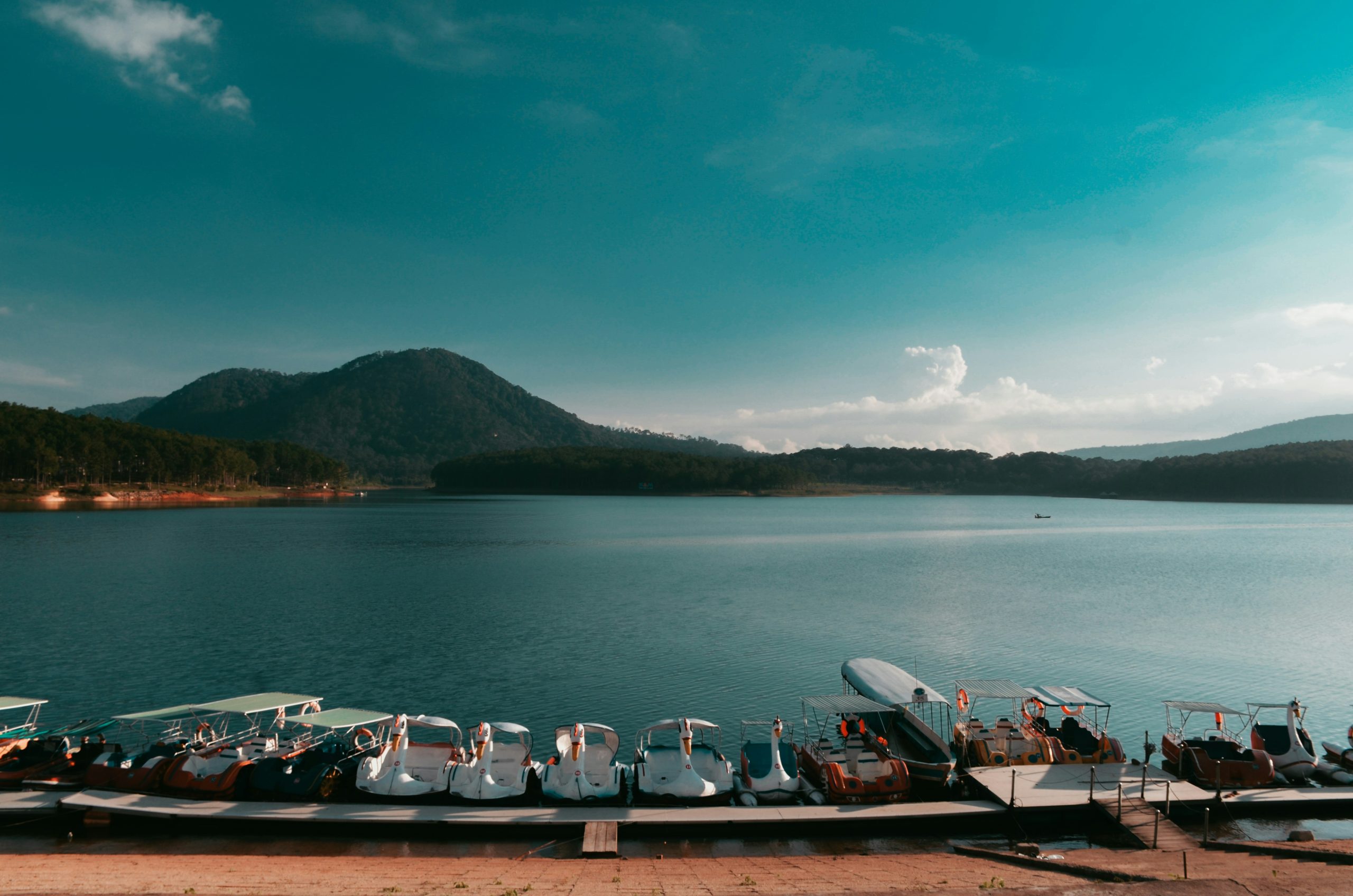 thai-an-ejP_nnf0rYU-unsplash
