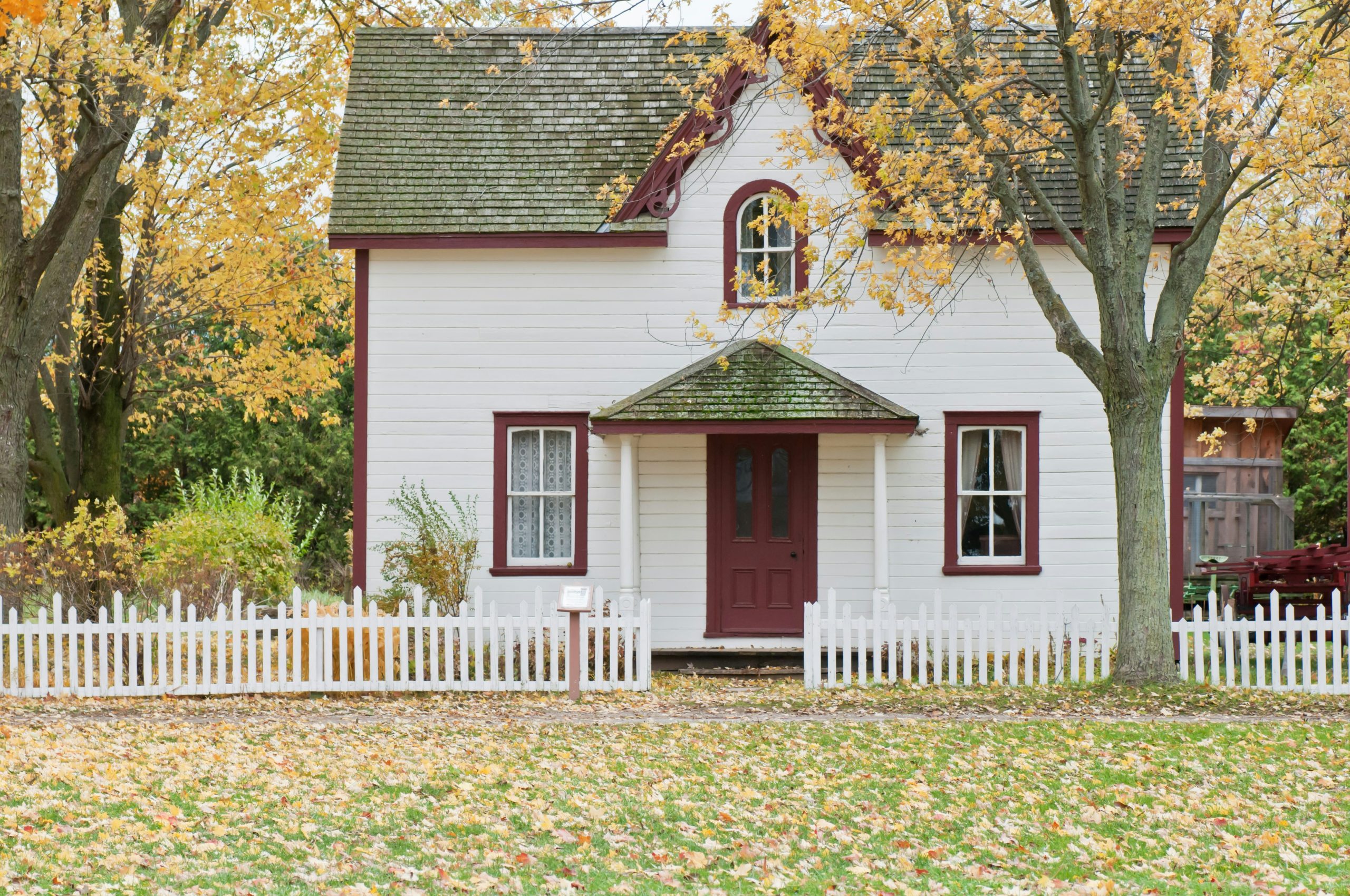 scott-webb-1ddol8rgUH8-unsplash (1)