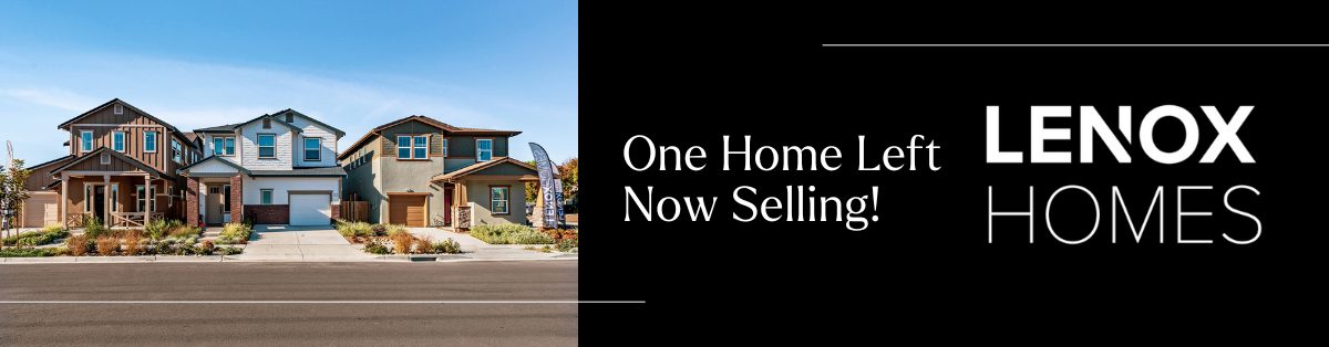 Copy of WM Newsletter_Blog Article (24)