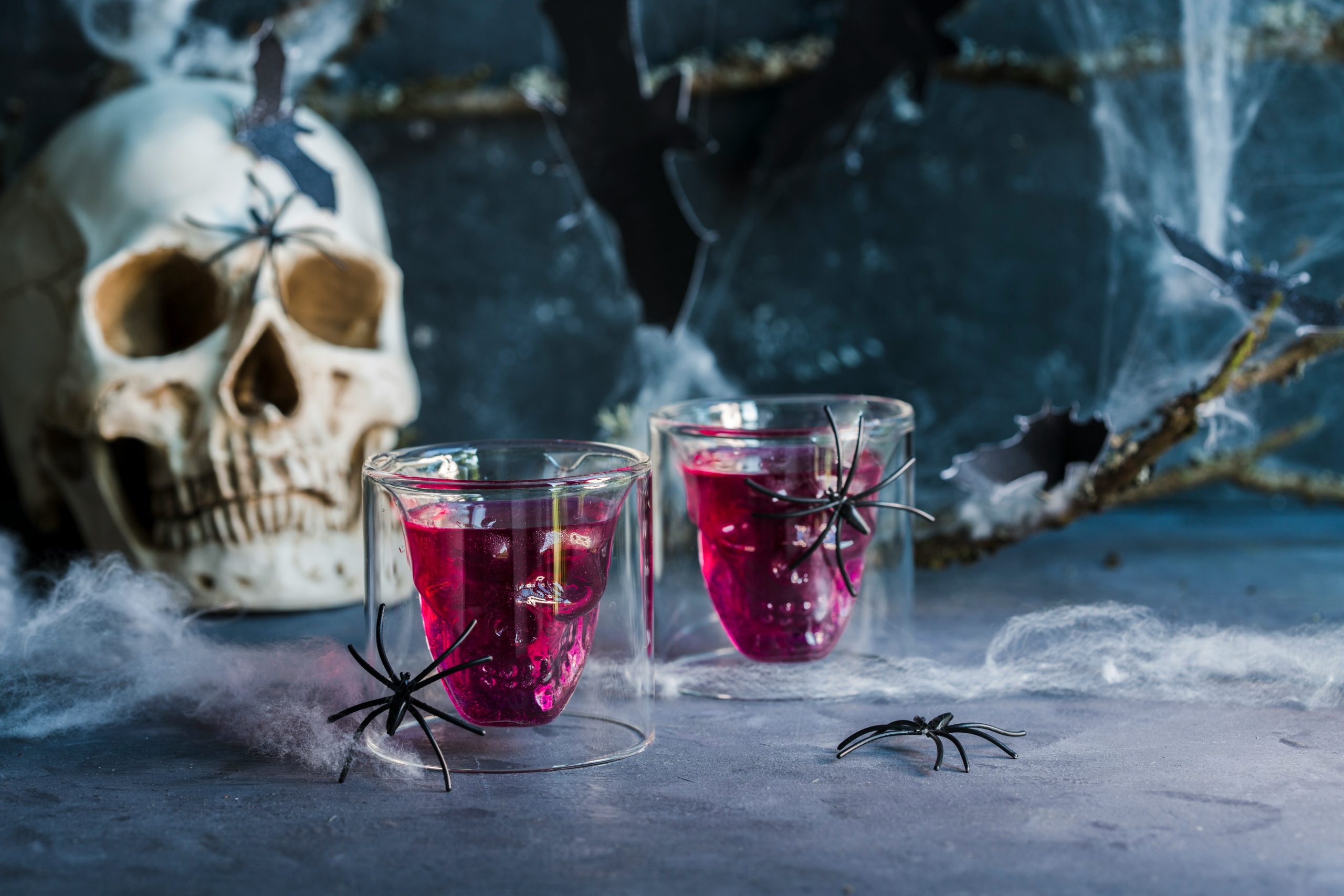 patrycja-jadach-vljO_Z7fxWg-unsplash