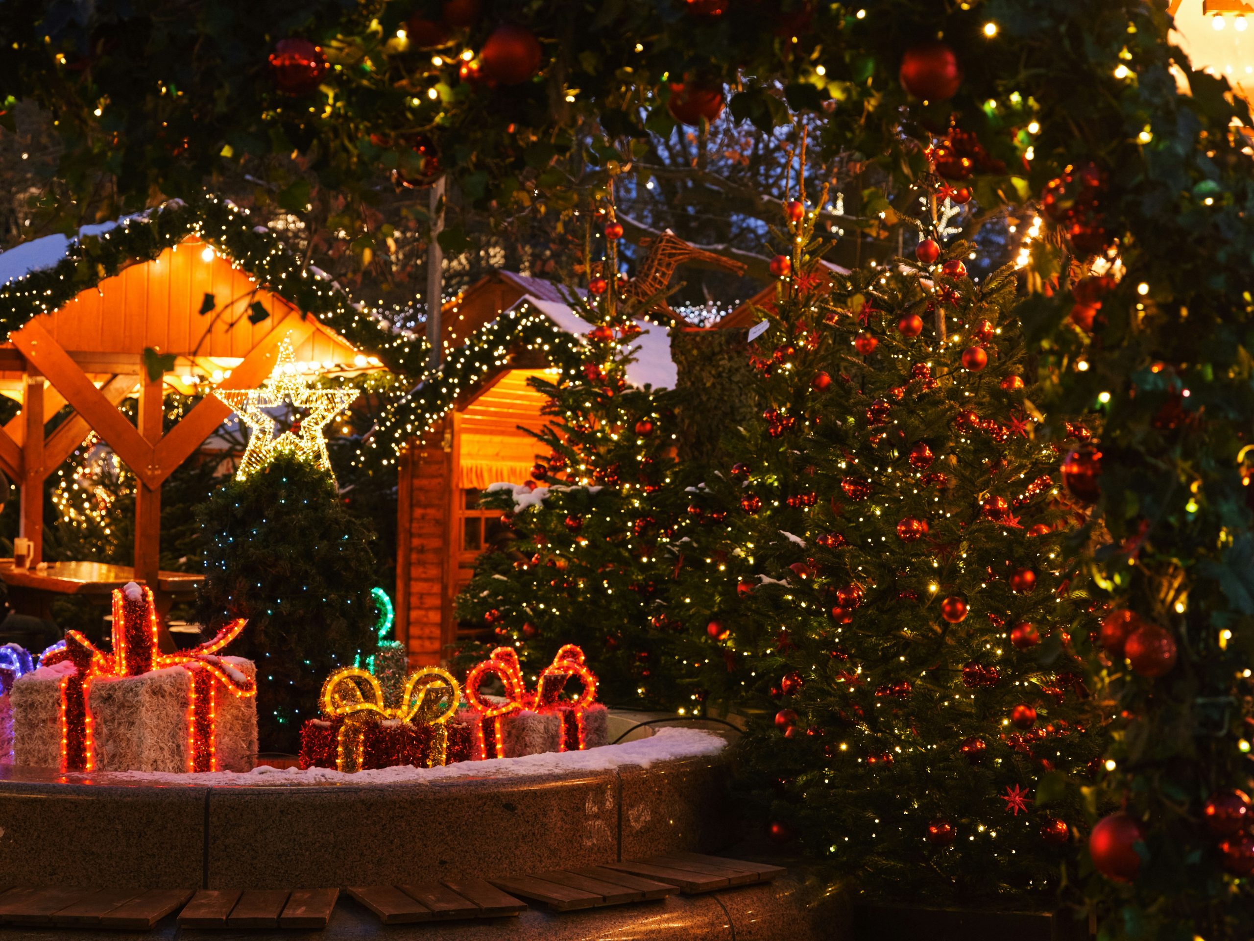 roberta-sant-anna-mcs8JirFZ2k-unsplash