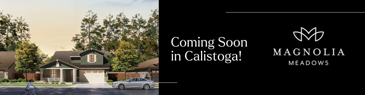 Copy of WM Newsletter_Blog Article (30)